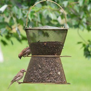 No/No Feeders Original Hourglass Bird Feeder